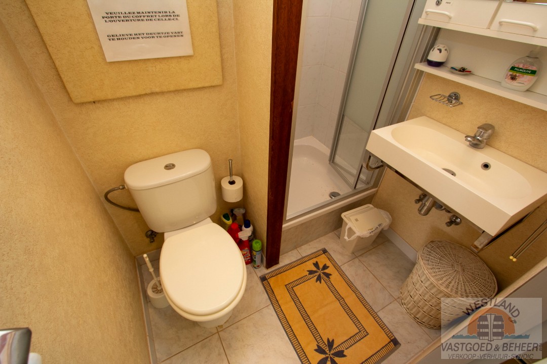 Zonnig appartement met één slaapkamer - photo 4