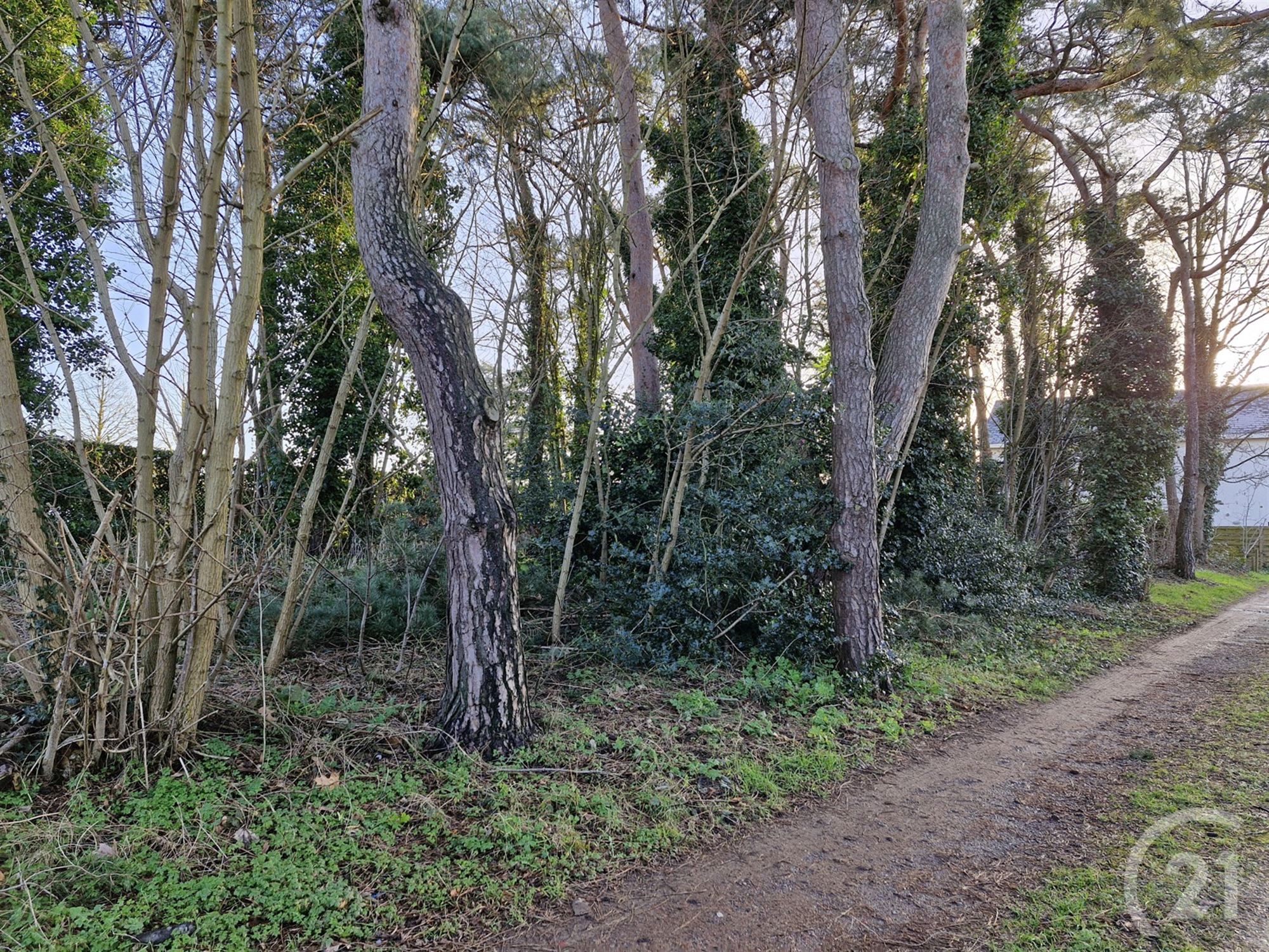 Bouwgrond te koop in Tremelo! - foto 2