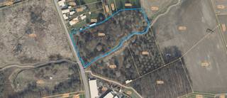Bos en weideland 33590 m², grenzende aan de openbare weg. Percelen B333c, D710b en D710a worden enkel samen verkocht.