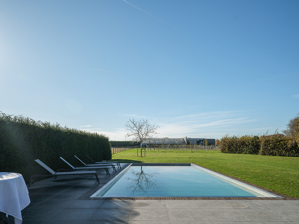 Karaktervolle gerenoveerde hoeve met zwembad en wijngaard op 4.700 m² te Vurste - foto 3