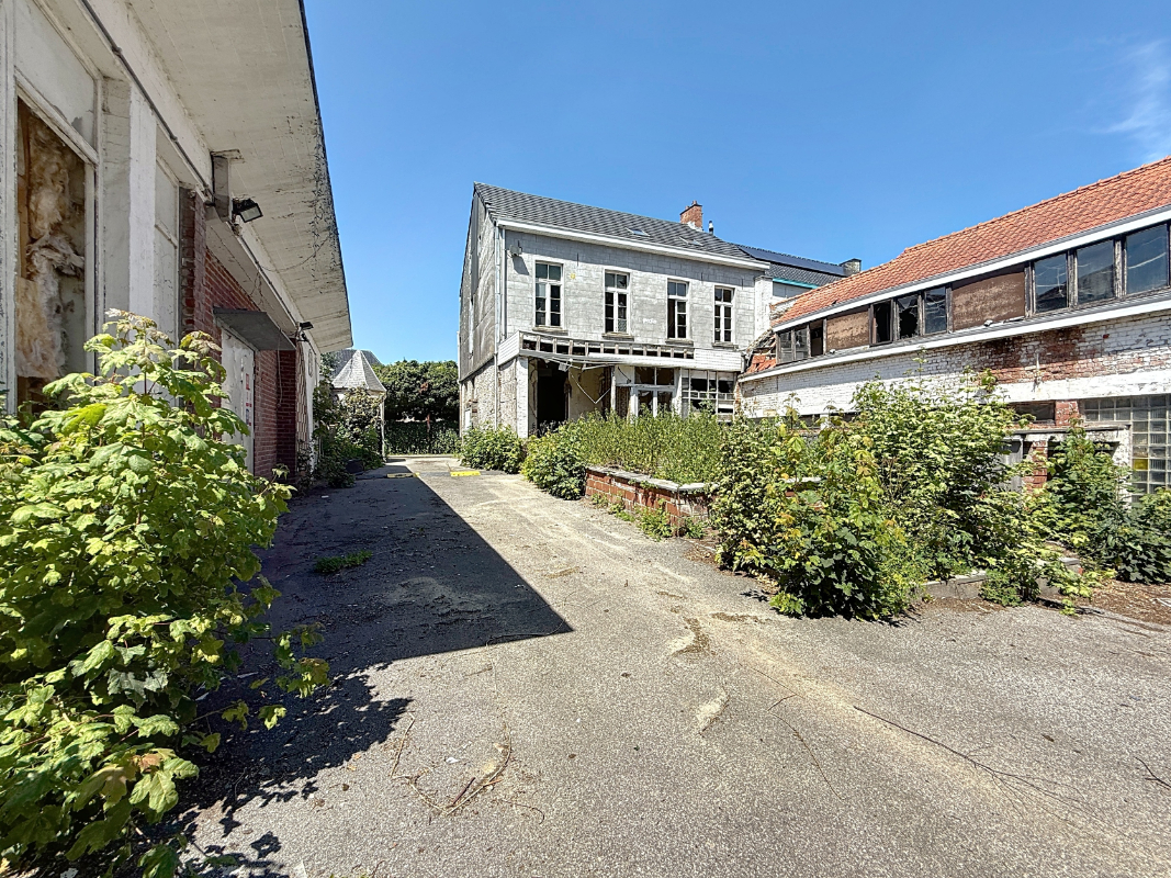 Projectgrond 3980 m² Gijzegem woonkern - foto 5