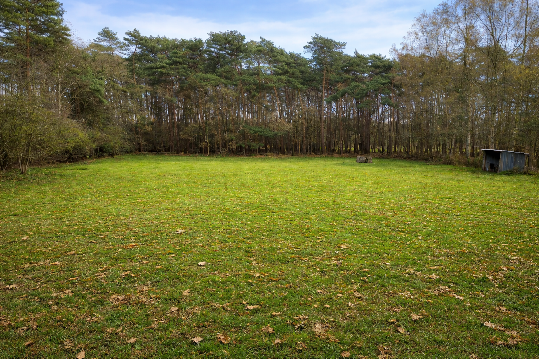 Prachtig weiland in bosgebied te Halle-Zoersel. - foto 2