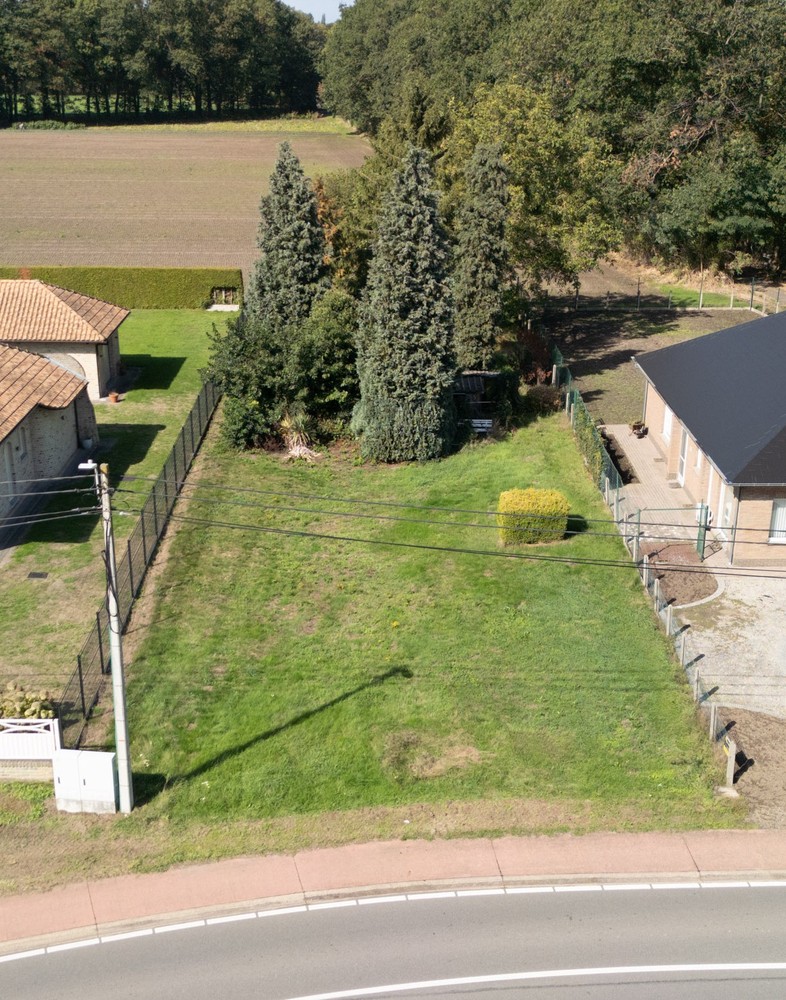 Bouwgrond te koop aan de Mechelbaan in Begijnendijk - Ideaal voor jouw toekomstige project! - foto 3