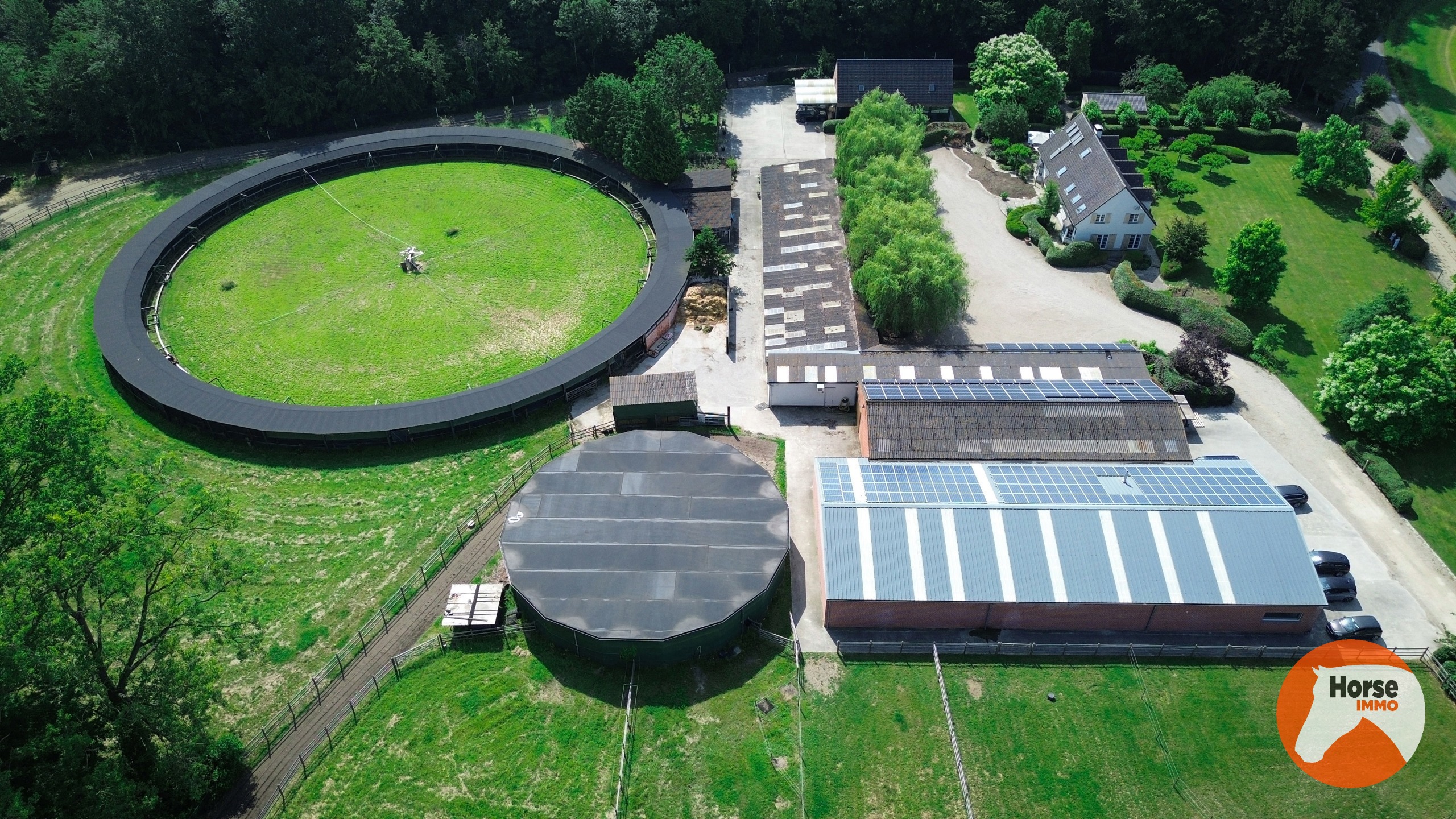 MERELBEKE - Professioneel paardencomplex op 3,35HA - foto 2