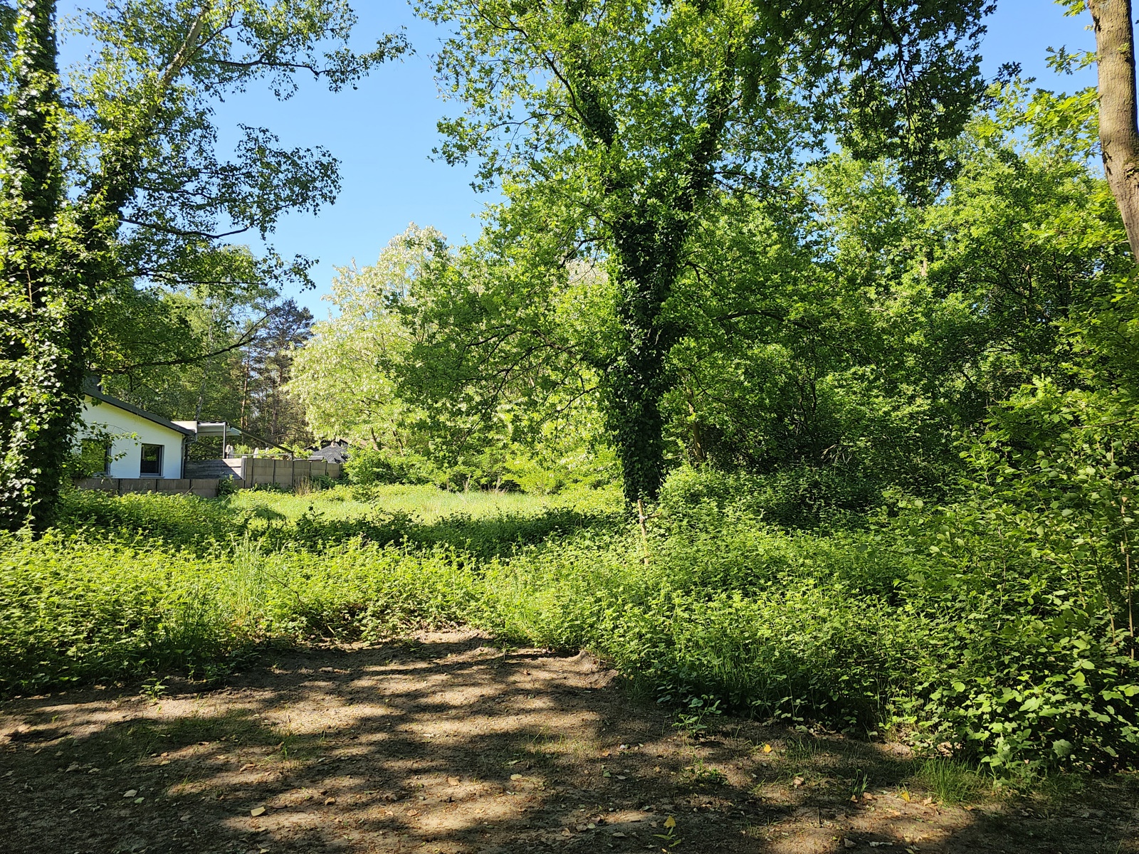 Landbouwgrond van 15a91ca - foto 1