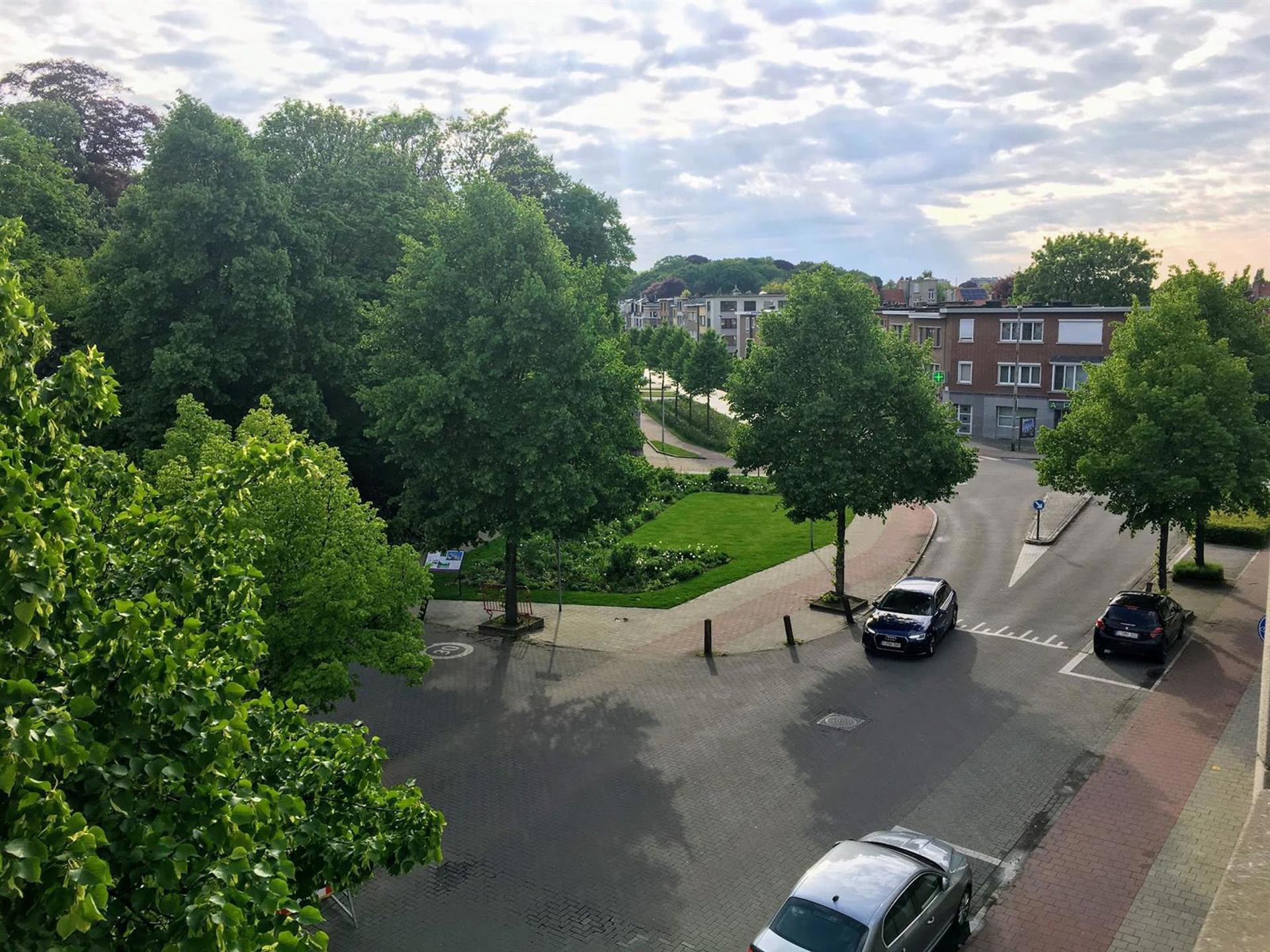 Werken met groen uitzicht - foto 5