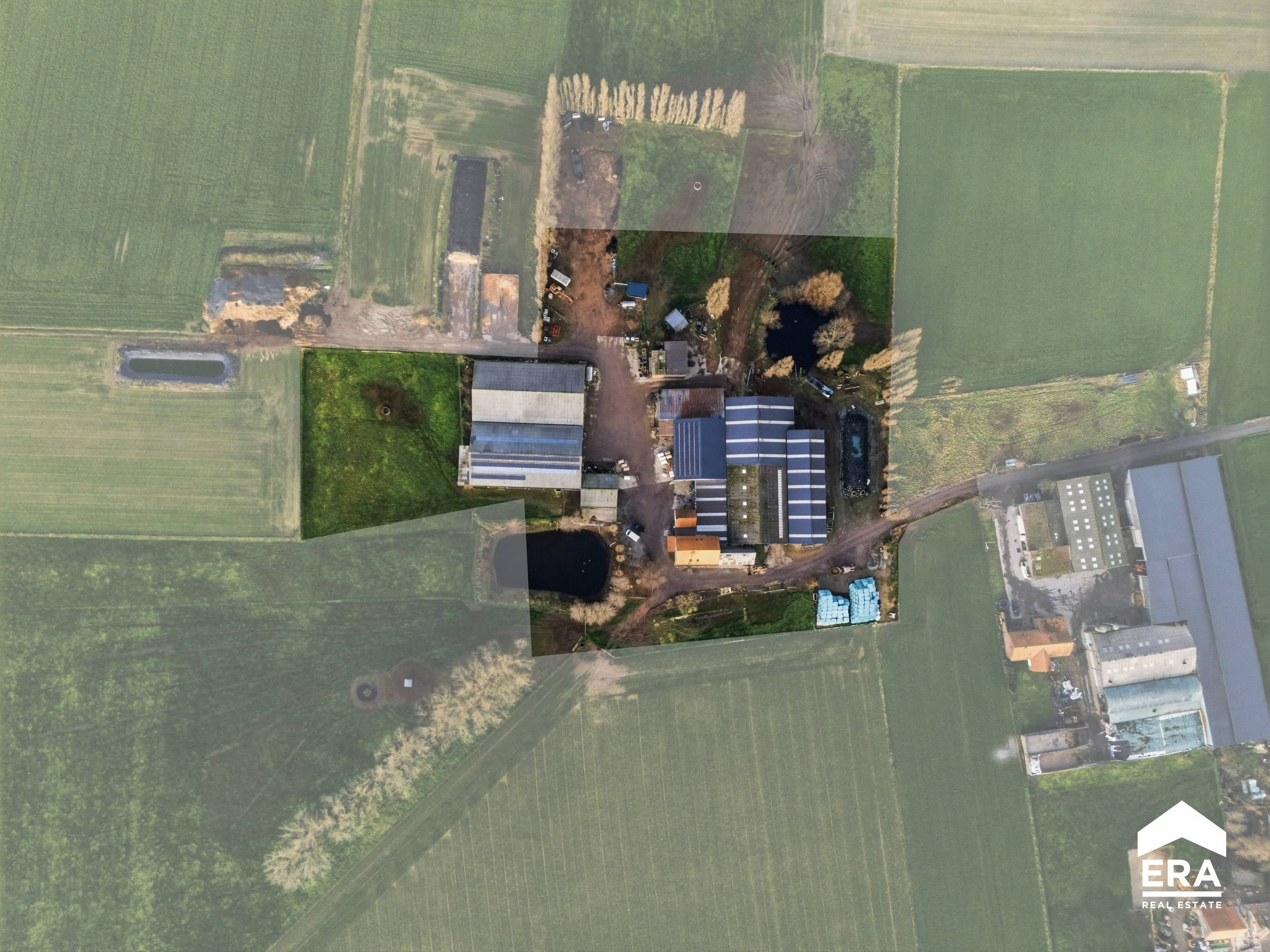 Te koop: landbouwbedrijf in Poperinge - foto 4