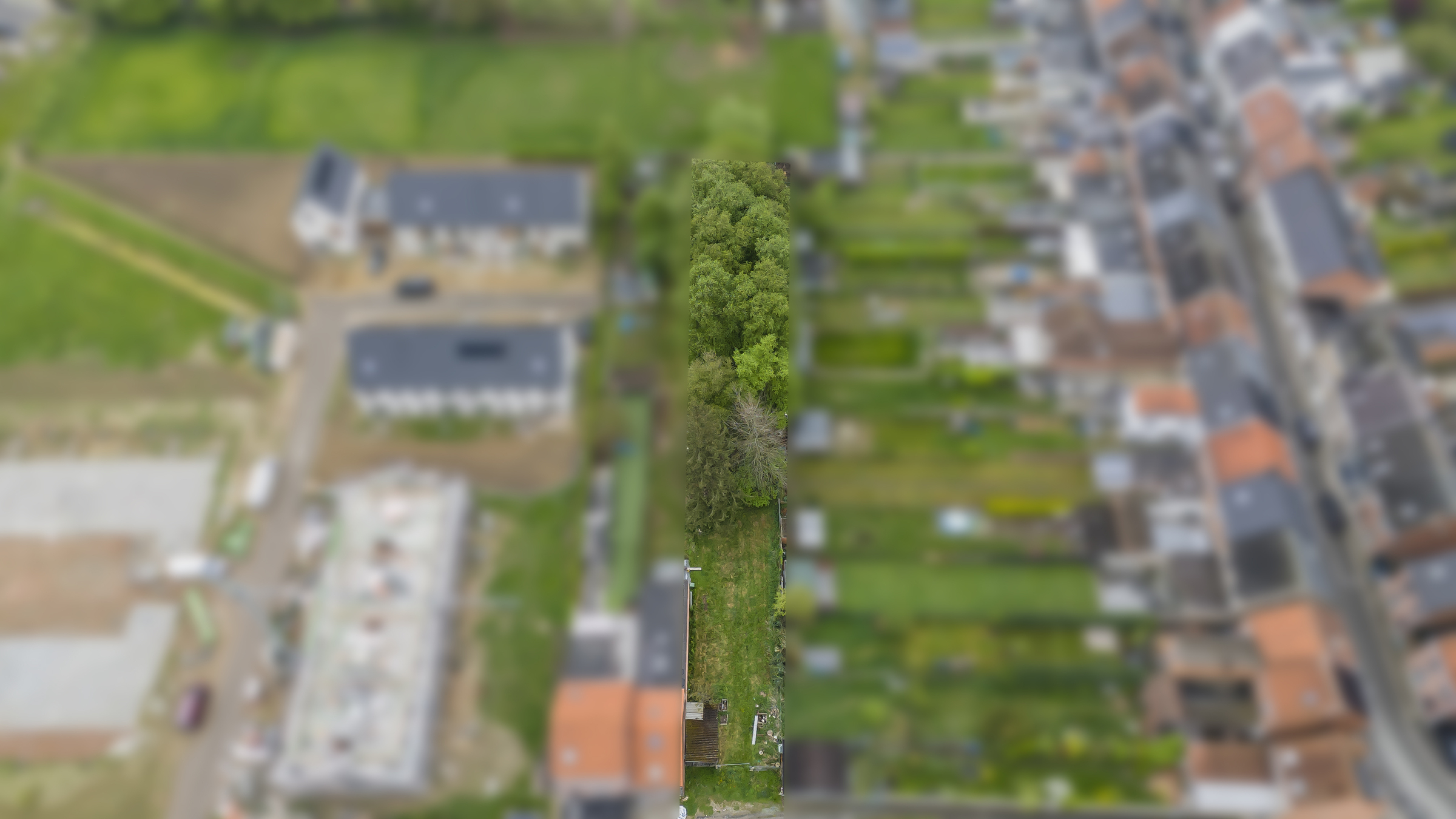 Land for sale in Lebbeke - photo 3