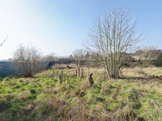 <p><span>PRACHTIG PERCEEL BOUWGROND VOOR OPEN BEBOUWING MET OPPERVLAKTE VAN 10A 97CA.</span></p><p><span>Uitermate rustig gelegen in doodlopende straat in het landelijke Branst op wandelafstand van de Scheldedijk.</span></p><p><span> </span></p><p><span>Het perceel biedt de mogelijkheid tot het bouwen van een ruime open bebouwing.</span></p><p><span>De zuidelijke oriëntatie is een extra troef.</span></p><p><span>Verkavelingsvoorschriften beschikbaar op aanvraag.</span></p>