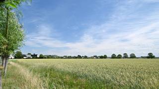 EXCLUSIEF TE KOOP: Prachtige woning met 4 slaapkamers gelegen in een residentiële wijk.Indeling : Inkomhal met apart toilet en vestiaire, lichtrijke...