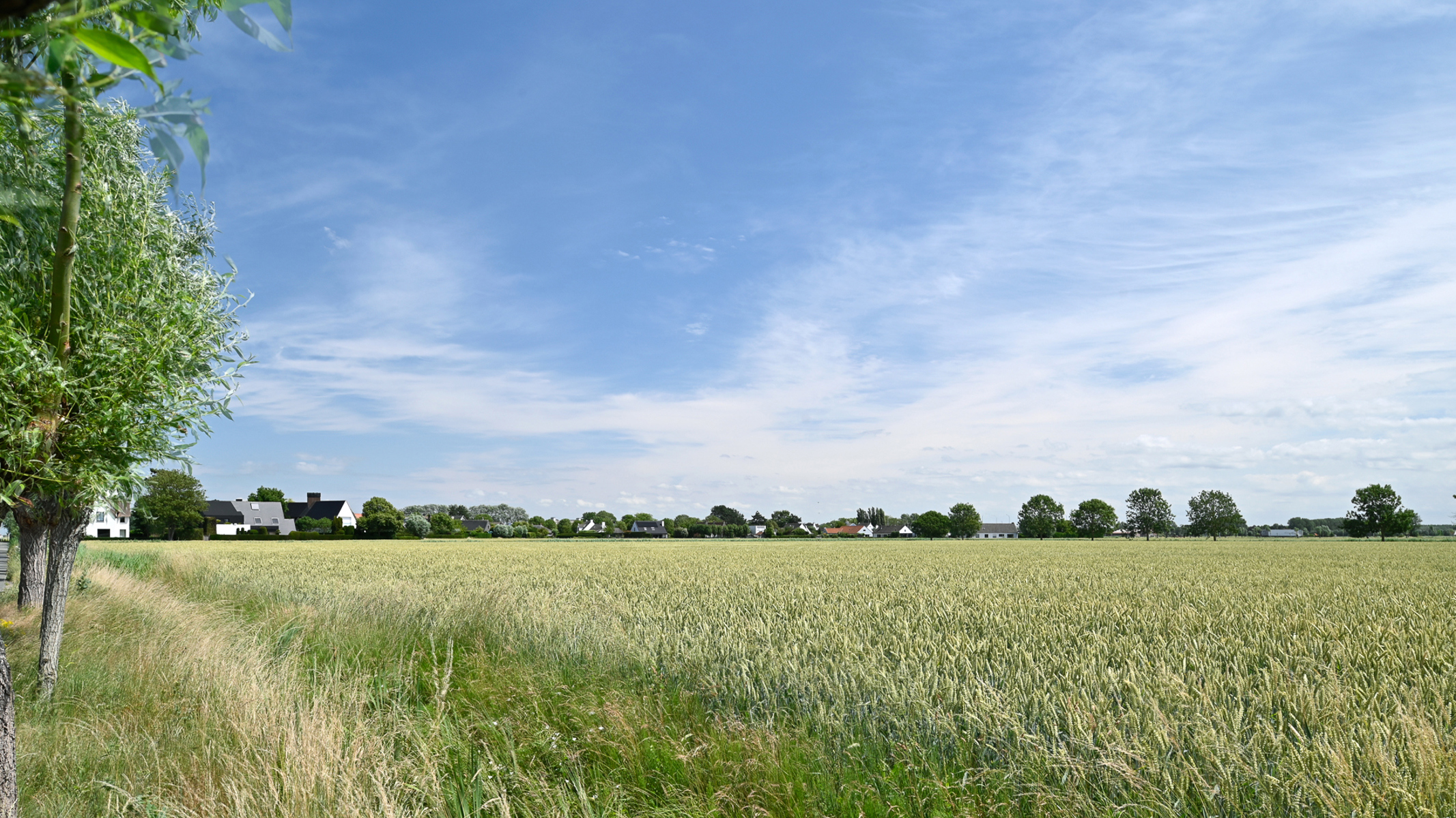EXCLUSIEF: Prachtige woning gelegen in woonerf Middelhoek - foto 3