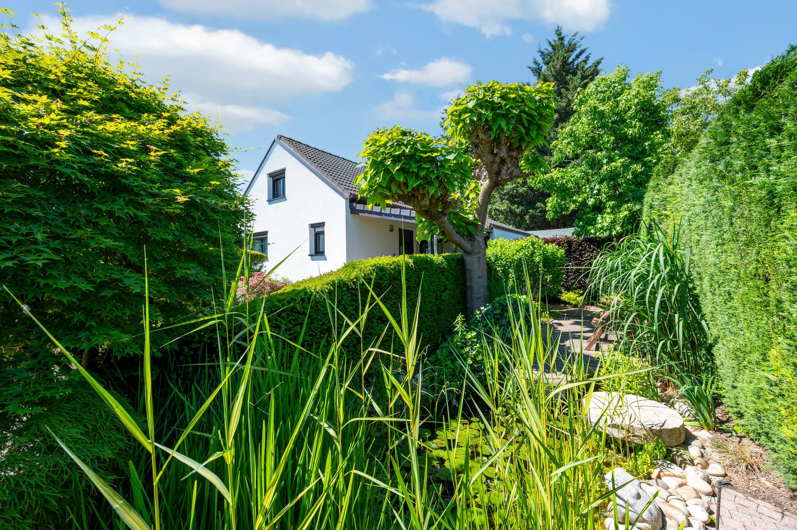 Energiezuinige, vrijstaande woning op ca 500m2 gelegen in een oase van groen en rust! - photo 2
