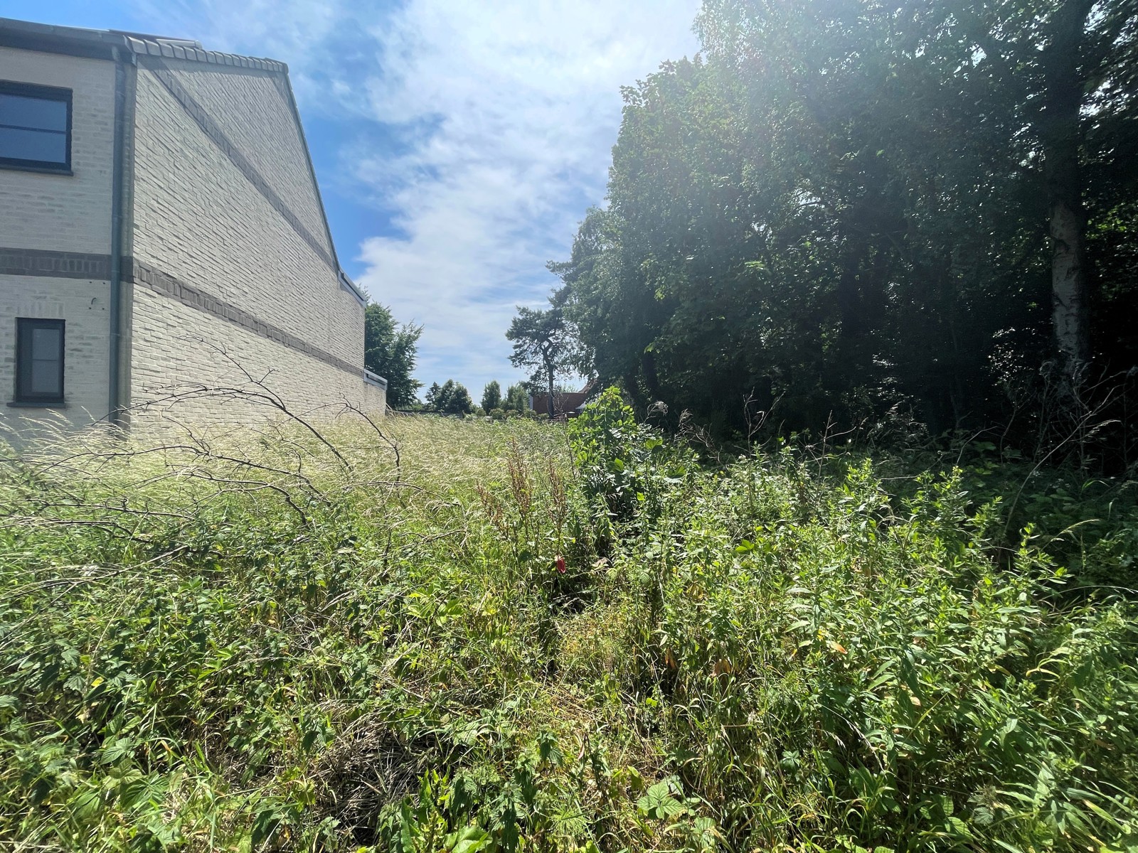 Voor HOB met breedte van 11m, vlakbij rustig dorpscentrum - foto 4