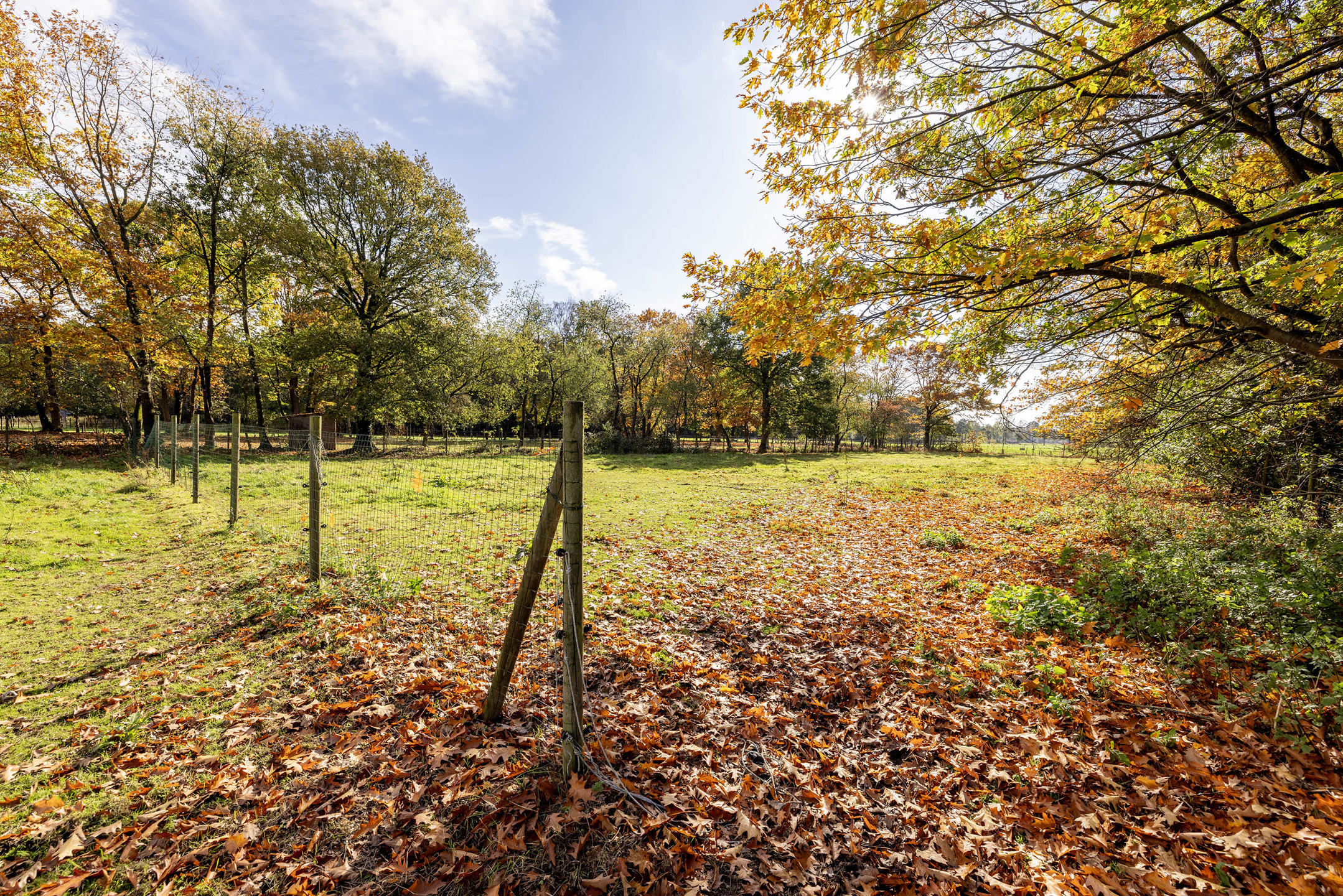 Terrain à vendre à Lille - photo 5