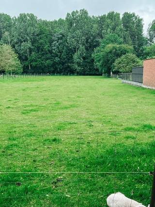 Découvrez ce beau terrain à bâtir de 15a71ca à Meise, idéal pour réaliser la maison de vos rêves. Avec des plans approuvés pour un bâtiment mitoyen...