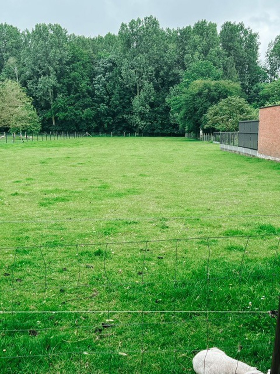 Terrain à vendre à Meise - photo 2