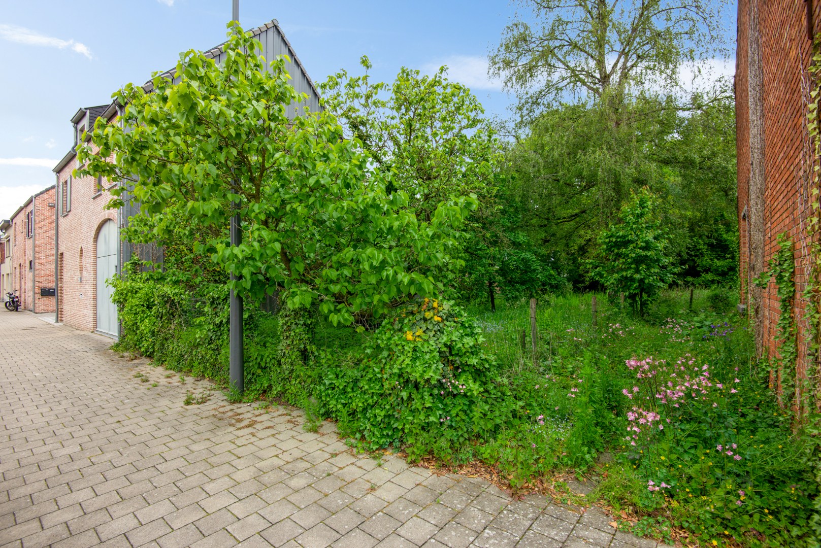 Te renoveren woning met veel potentieel op rustige ligging in Puurs-Sint-Amands! - foto 5