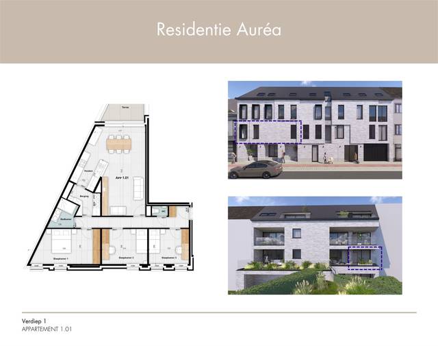 Project te koop in Aalst