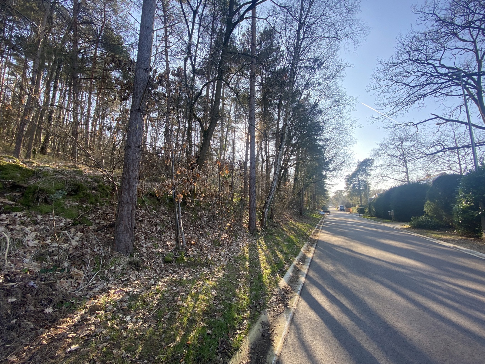 Grond te koop in Rotselaar - foto 4