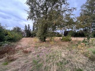 PLUSPUNTEN: <br />+ perceeloppervlakte: 464 m²<br />+ halfopen bebouwing<br />+ lot 3 en 3 bis<br />+ ruimte bouwvoorschriften<br />+ Bocholt centrum<br />+ gevelbreedte: 7m<br />+ bouwdiepte: 17m<br /><br />ALGEMEEN:<br />Droomt u van een eigen woning op een rustige én centrale locatie? Dan is deze bouwgrond aan de Damburgstraat in Bocholt zeker het ontdekken waard.<br /><br />De bouwgrond, gelegen ter hoogte van Damburgstraat 67, is geschikt voor de realisatie van een halfopen bebouwing (HOB). Dankzij de gunstige ligging bevindt u zich op korte afstand van het centrum, met winkels, horeca, scholen, dokterspraktijk en tal van andere voorzieningen binnen handbereik.<br /><br />Tegelijk geniet u hier van de rust en het groene karakter van Bocholt. Een ideale combinatie van comfortabel wonen, bereikbaarheid en een aangename leefomgeving. Een mooie kans om uw eigen thuis te realiseren op een gegeerde locatie in Bocholt!<br /><br />BOUWVOORRSCHRIFTEN BPA DORPSKOM (art. 1.2)
<ul>
	<li>hoofdbestemming: wonen</li>
	<li>nevenbestemming: handen: horeca, diensten zonder loketfunctie, vrije beroepen, openbare nutsfuncties, ambachtelijke bedrijven;</li>
	<li>halfopen bebouwing, min. 9, max 15m gevelbreedte (zie plan);</li>
	<li>bouwhoogte:
	<ul>
		<li>hoofdgebouw: max 2 bouwlagen;</li>
		<li>meerdiepte op het gelijkvloerss: max. 1 bouwlaag en max. 4,5m;</li>
		<li>de hoogte van 1 bouwlaag bedraagt max. 3,5m voor woonfunctie en max 4,5m voor nevenfunctie;</li>
	</ul>
	</li>
	<li>bouwdiepte:
	<ul>
		<li>in harmonie met aanpalende bebouwing;</li>
		<li>gelijkvloers max. 17m;</li>
		<li>verdieping max. 13m;</li>
	</ul>
	</li>
	<li>zijgevel:
	<ul>
		<li>gemene gevel: tegen perceelgrens;</li>
		<li>open gevel: op min 3m van de perceelgrens;</li>
	</ul>
	</li>
	<li>dakvorm:
	<ul>
		<li>hoofdgebouw: dakvorm vrij doch in harmonie (extra toelichting zie voorschriften bij downloads)</li>
	</ul>
	</li>
</ul>
FINANCIERING:<br />Een succesvolle vastgoedtransactie begint met een goede voorbereiding. Wij adviseren kandidaat-kopers om hun financiële mogelijkheden tijdig in kaart te brengen, zodat zij met de nodige zekerheid en vertrouwen kunnen handelen wanneer de juiste opportuniteit zich aandient.<br /><br />VERKOPEN OF VERHUREN MET EEN STRATEGISCHE AANPAK?<br />Dankzij het vertrouwen van onze klanten en onze sterke marktpositie zijn wij voortdurend op zoek naar kwalitatieve eigendommen. Overweegt u te verkopen of te verhuren? Ontdek vrijblijvend onze persoonlijke aanpak en hoe wij uw eigendom optimaal positioneren om de juiste doelgroep te bereiken.<br /><br />ALS EERSTE OP DE HOOGTE VAN NIEUW AANBOD:<br />De beste eigendommen worden vaak gevonden vóór ze breed beschikbaar zijn. Schrijf u vrijblijvend in via onze website en ontvang nieuw aanbod dat aansluit bij uw wensen en zoekcriteria.<br /><br />UW VASTGOED, ONZE EXPERTISE:<br />Elke eigendom verdient een persoonlijke strategie. Met een combinatie van marktkennis, professionele presentatie, actieve klantenbenadering en een sterk netwerk begeleiden wij onze klanten naar een succesvol resultaat.<br /><br />PERSOONLIJKE SERVICE, PROFESSIONELE BEGELEIDING:<br />Een vastgoedbeslissing vraagt een doordachte aanpak. Ons ervaren team staat klaar om u persoonlijk te adviseren en te begeleiden bij elke stap. Contacteer ons via +32 89 87 03 67 of via info@immosign-plus.be.