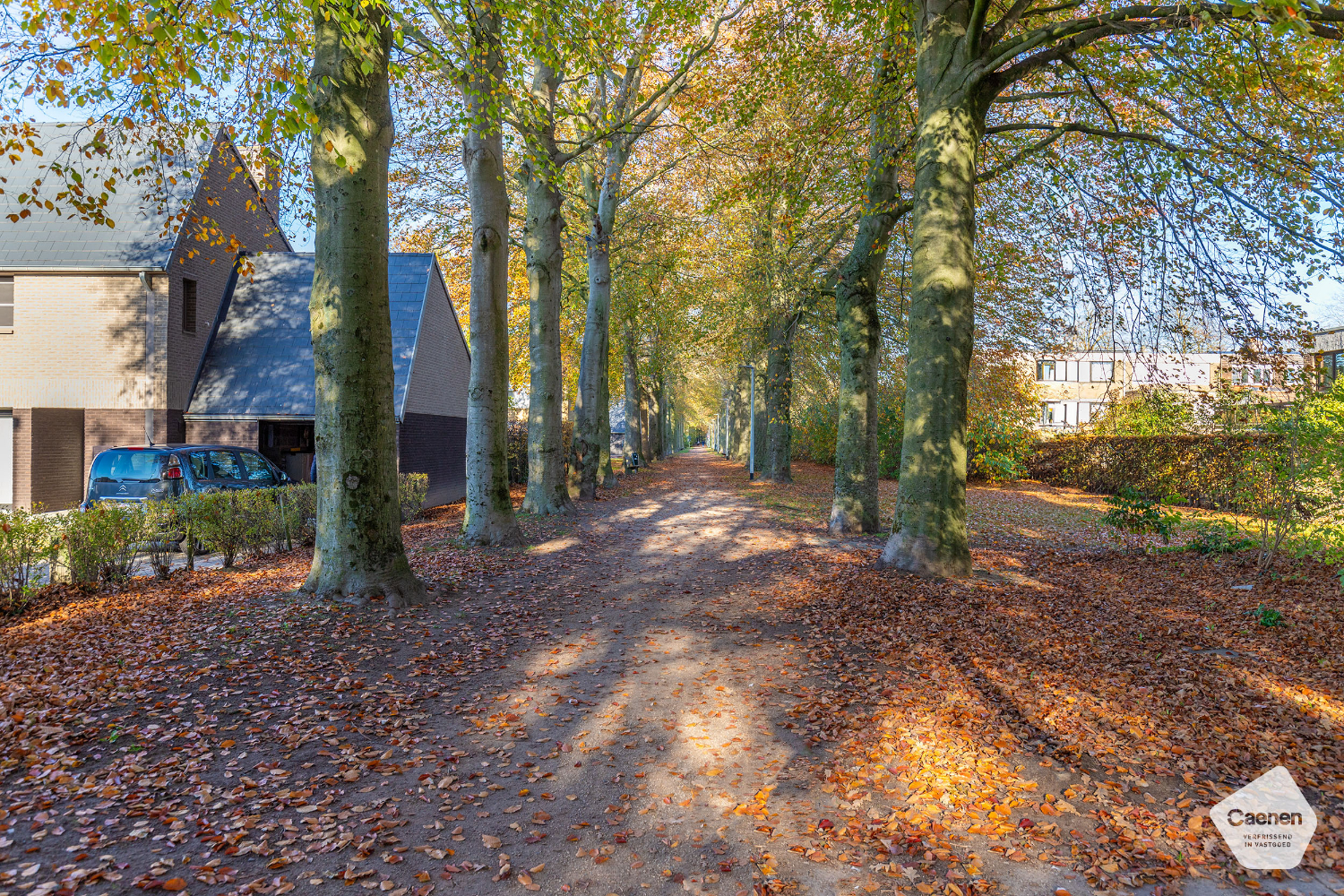 Door groen omgeven te renoveren woning met 4 slaapkamers & garage te Sint-Michiels - foto 2