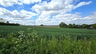 Laatste 2 loten bouwgrond: In het prachtige Mont-de-l'Enclus, op de flanken van het gekende Kluisbos, aan de Waalse zijde, krijg je de kans te...
