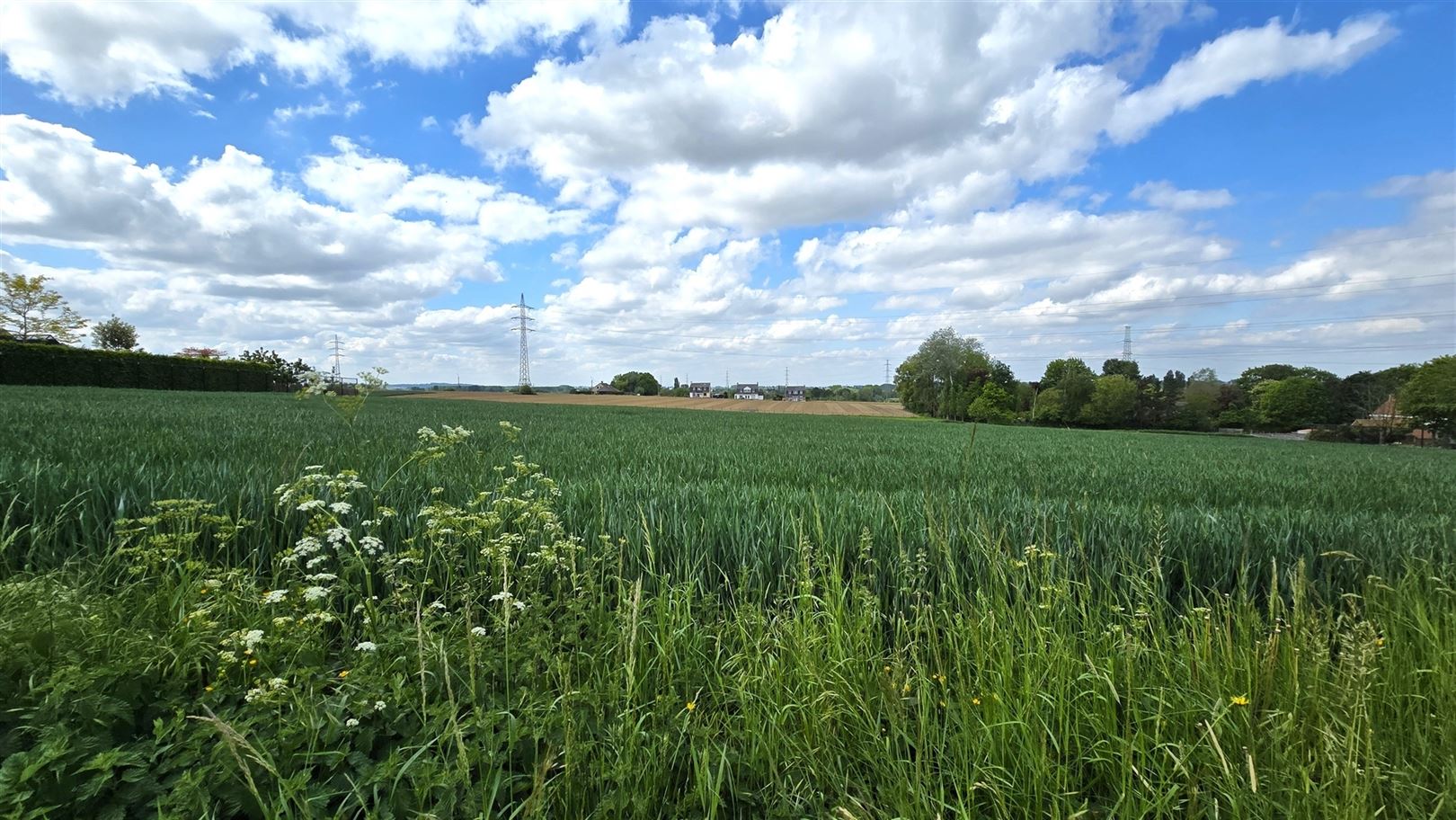 MONT-DE-L'ENCLUS - laatste 2 ruime loten bouwgrond (ZW) met ver zicht - foto 2