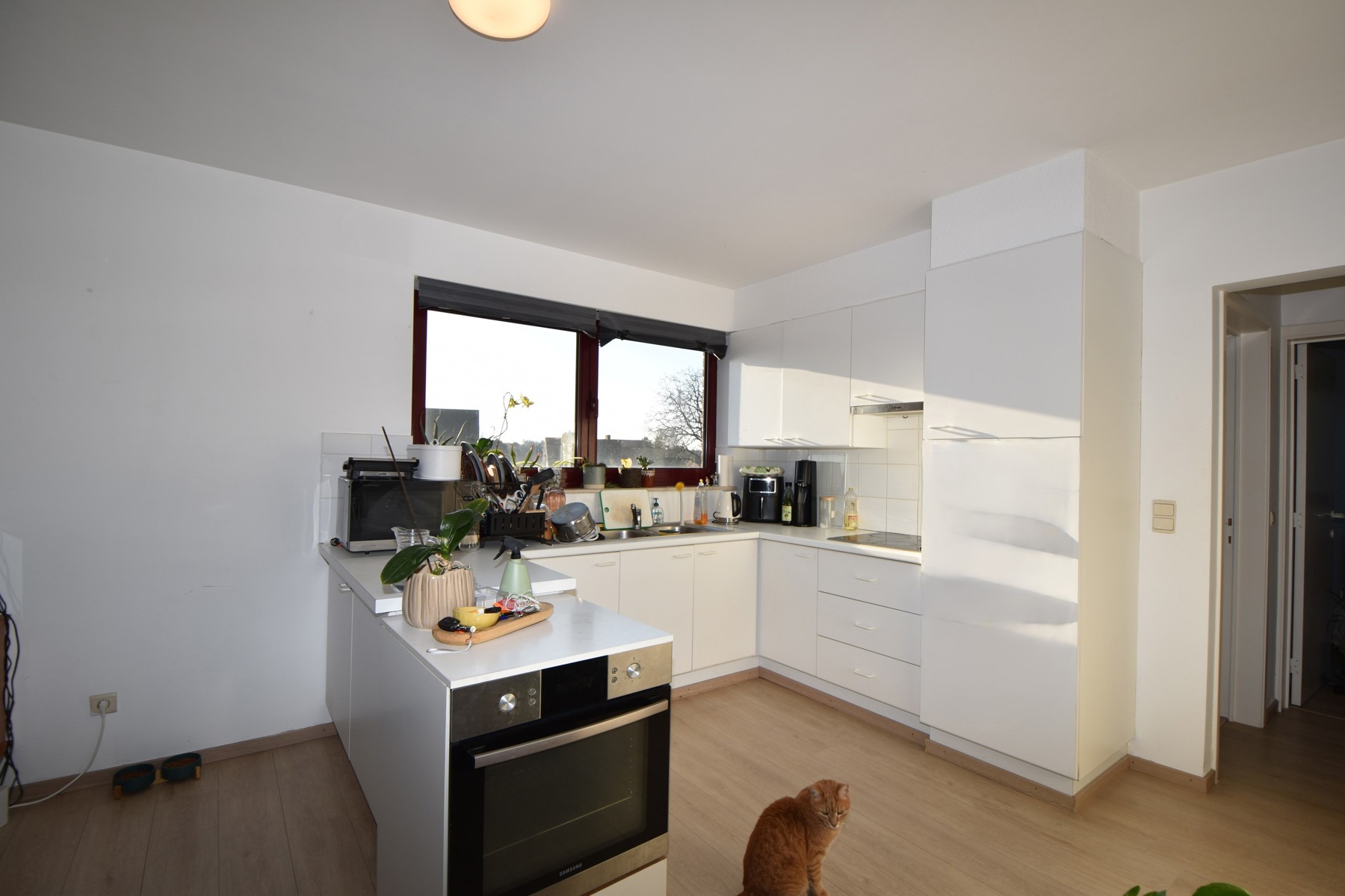 Apartment for rent in Kasterlee with 2 bedrooms - photo 5