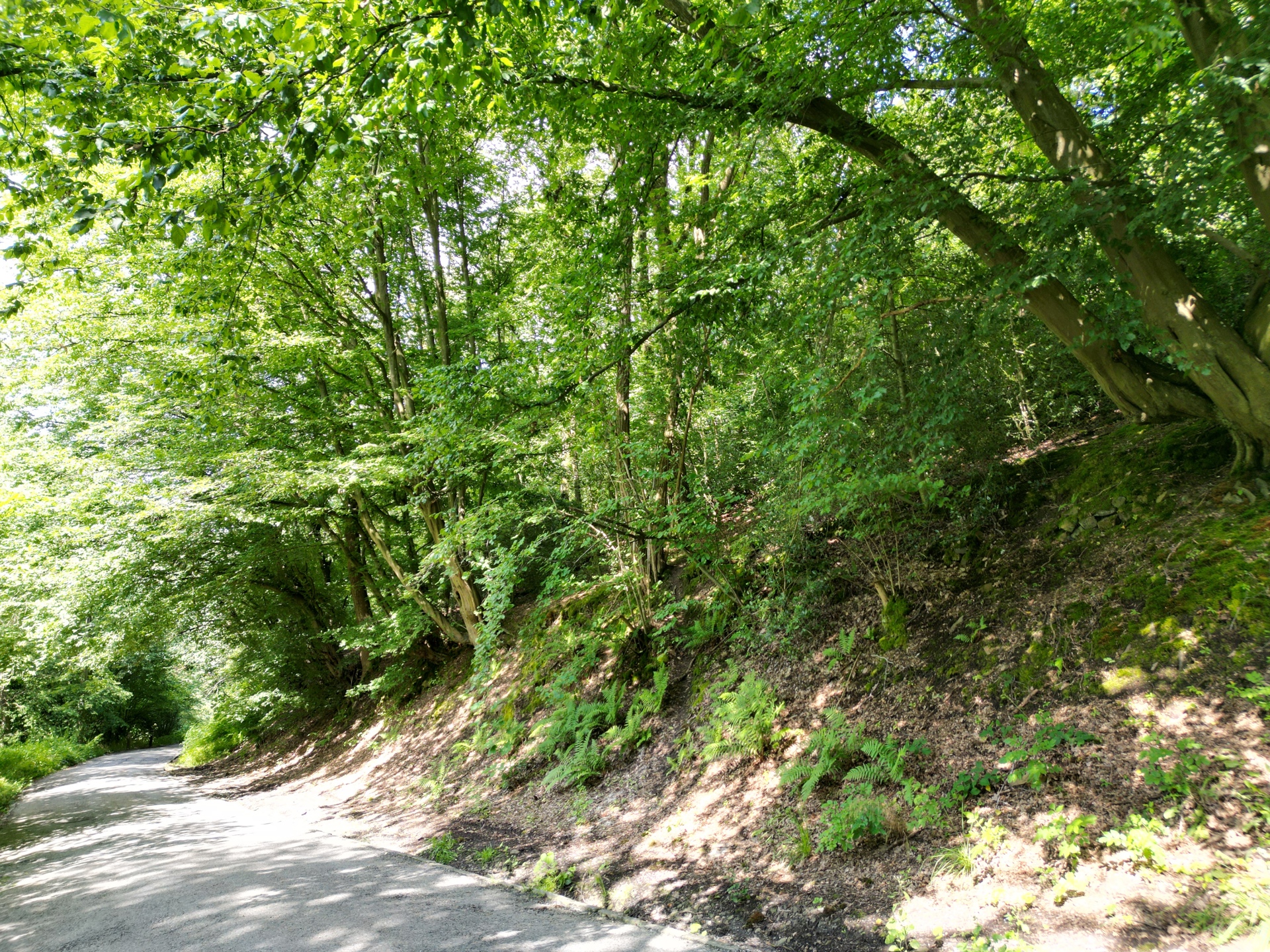 Grond te koop in Marchin - foto 2