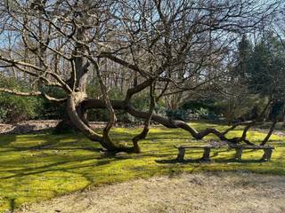 Dit prachtige, ruime kantoor bevindt zich op een toplocatie in een groene omgeving op de grens van Kapellen en Kalmthout. Het is gelegen op het gelijkvloers van een uniek kasteel. De totale oppervlakte bedraagt circa 80 m². Het kantoor bestaat uit veel ramen voor natuurlijk zonlicht. en is voorzien van internet. Alle luxe is voorzien zoals videofonie, afvalverwerking en parkeerruimte op het domein. Vele mogelijkheden tot indeling! De provisiekosten per maand voor gas en water bedragen 150 euro.