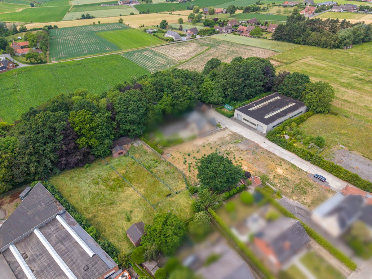Industrieel projectgrond te koop in Ingooigem. - foto 4