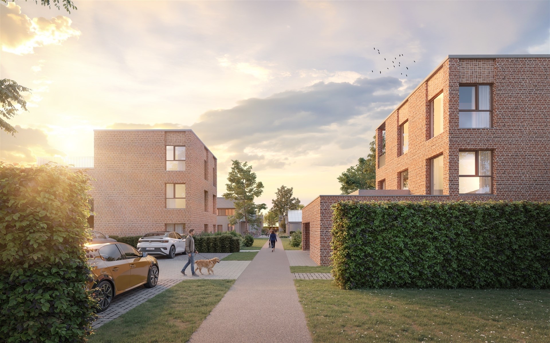 Project te koop in Wetteren - foto 2