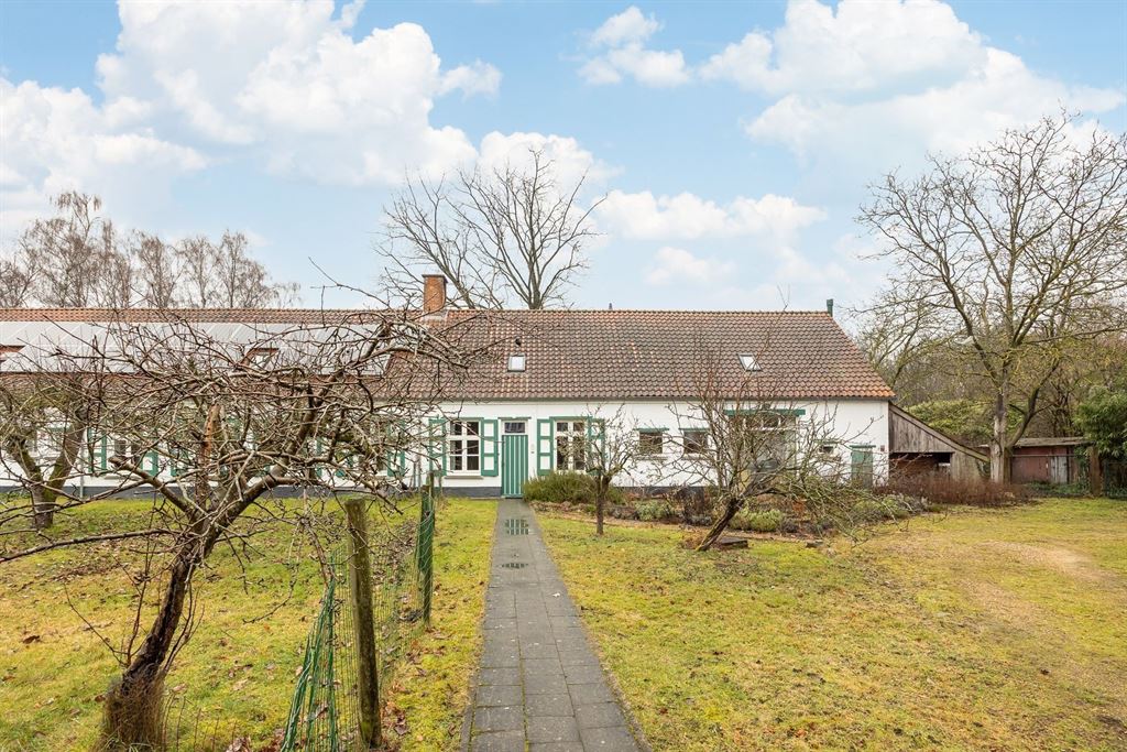 Langgevelhoeve op ca. 5 ha. vlak bij het dorp van Schilde, inclusief enkele bouwgronden. - foto 4