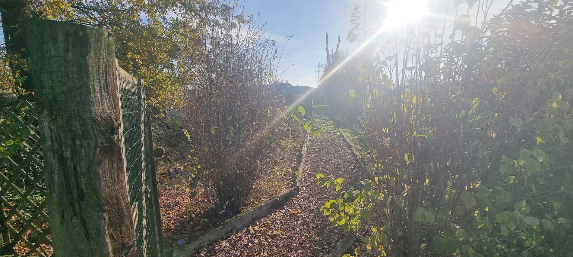 Terrain à louer à Wommelgem - photo 4