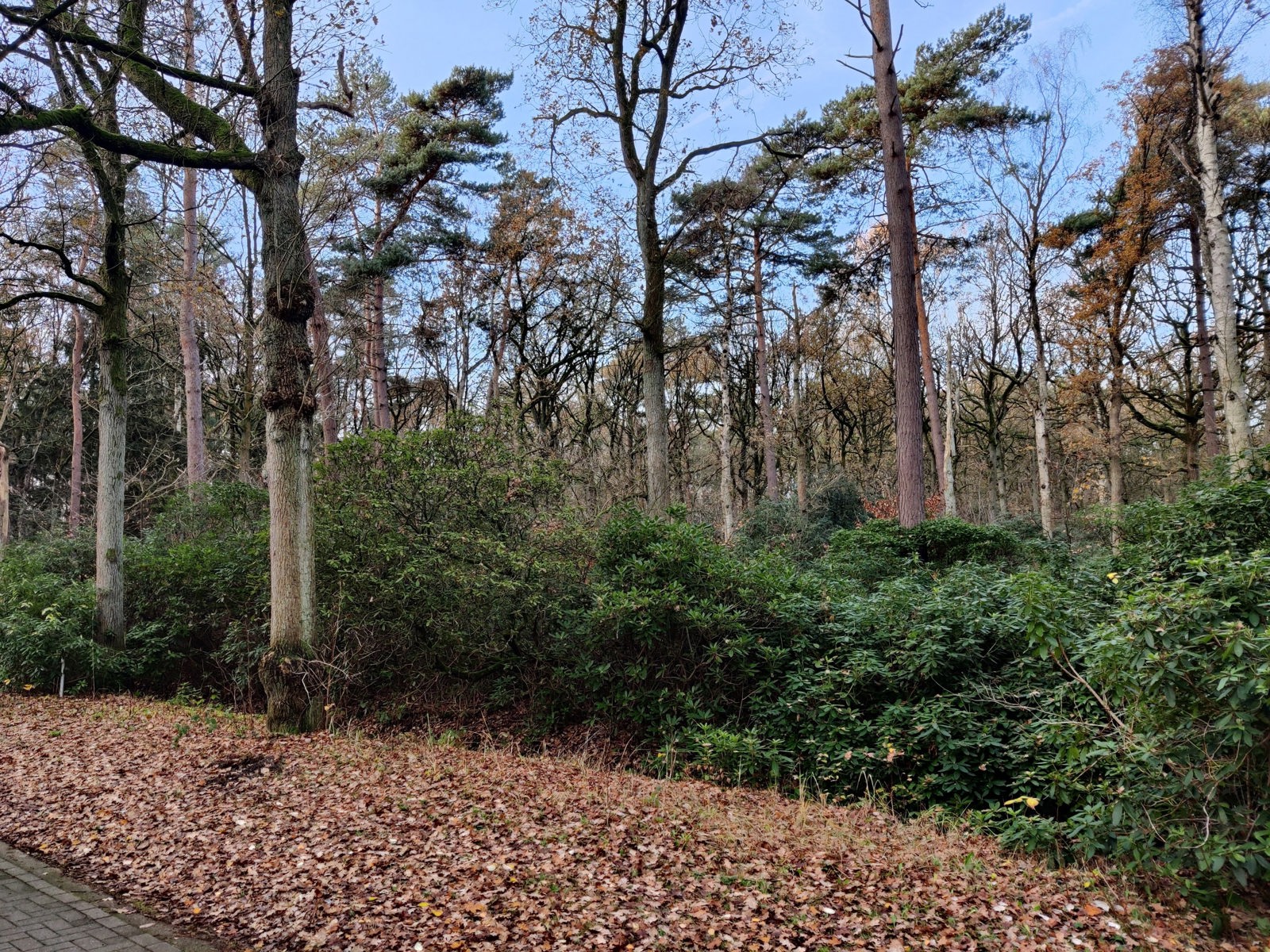 Grond in een groene omgeving - foto 5