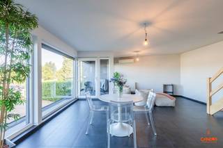 Dit instapklare duplexappartement bevindt zich op de eerste verdieping van een kleinschalige residentie in Wondelgem. Het appartement is...