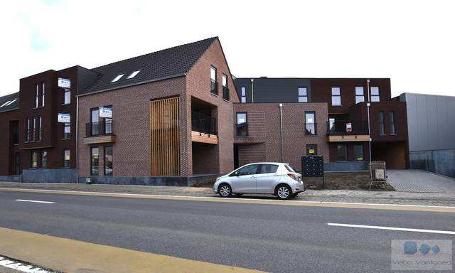 Project te koop in Berlaar