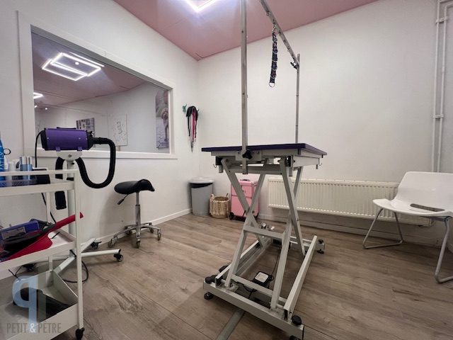 Instapklare opbrengsteigendom op topligging - foto 3