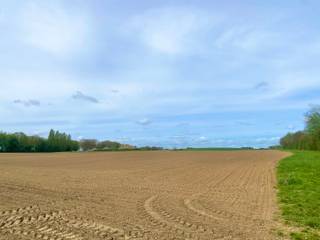<p><strong>Landbouwgrond met een oppervlakte van circa 3 hectare te Bertem</strong></p>
<p>Het perceel is gelegen in een rustige en landelijke omgeving en beschikt over een goede bereikbaarheid via de omliggende wegeninfrastructuur. De grond is geschikt voor diverse landbouwkundige doeleinden en kan tevens een interessante opportuniteit vormen als investering of ter uitbreiding van een bestaand landbouwbedrijf.<br />Mogelijkheid om aangrenzend perceel van +/- 90 are bij aan te kopen.<br />Momenteel verpacht!<br /><br />Kadastrale legger in bijlage (Documenten).</p>