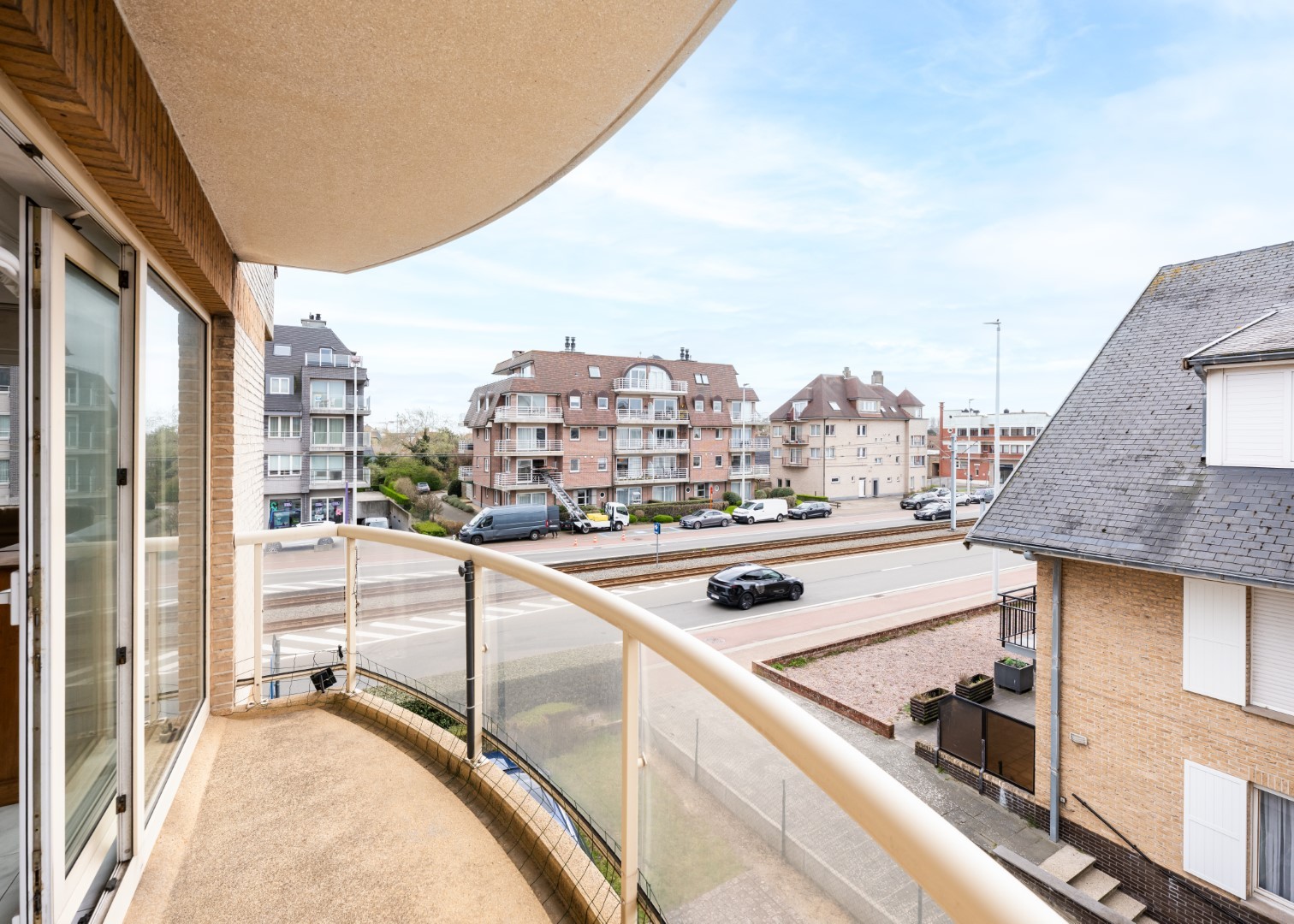 Campanula - 01.02 - photo 3