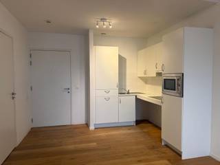 Découvrez cet élégant appartement lumineux d'une chambre à coucher, avec un parquet chaleureux et une cuisine ouverte moderne. La cuisine est...