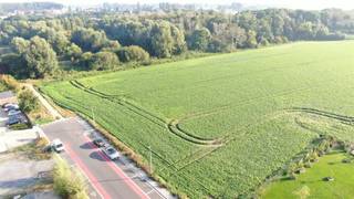 Prachtig perceel bouwgrond, op een zeer mooie en rustige ligging met zicht op groen te Menen. Diverse bouwmogelijkheden, zie onze andere advertenties. Geen bouwverplichting. Het perceel is ongeveer 16 meter breed en ongeveer 40 meter diep. Achtergelegen is landbouwgrond. Panoramisch uitzicht!!! Unieke mogelijkheid. ook een goede investering mogelijkheid. Zeer waardevast!