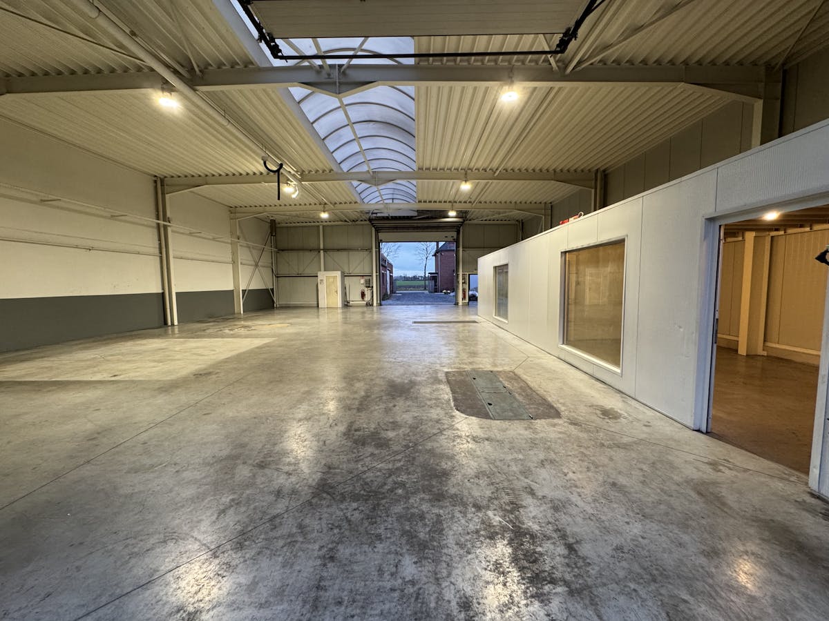 Magazijn (420m²) met ruime buitenoppervlakte (575m²) - foto 3