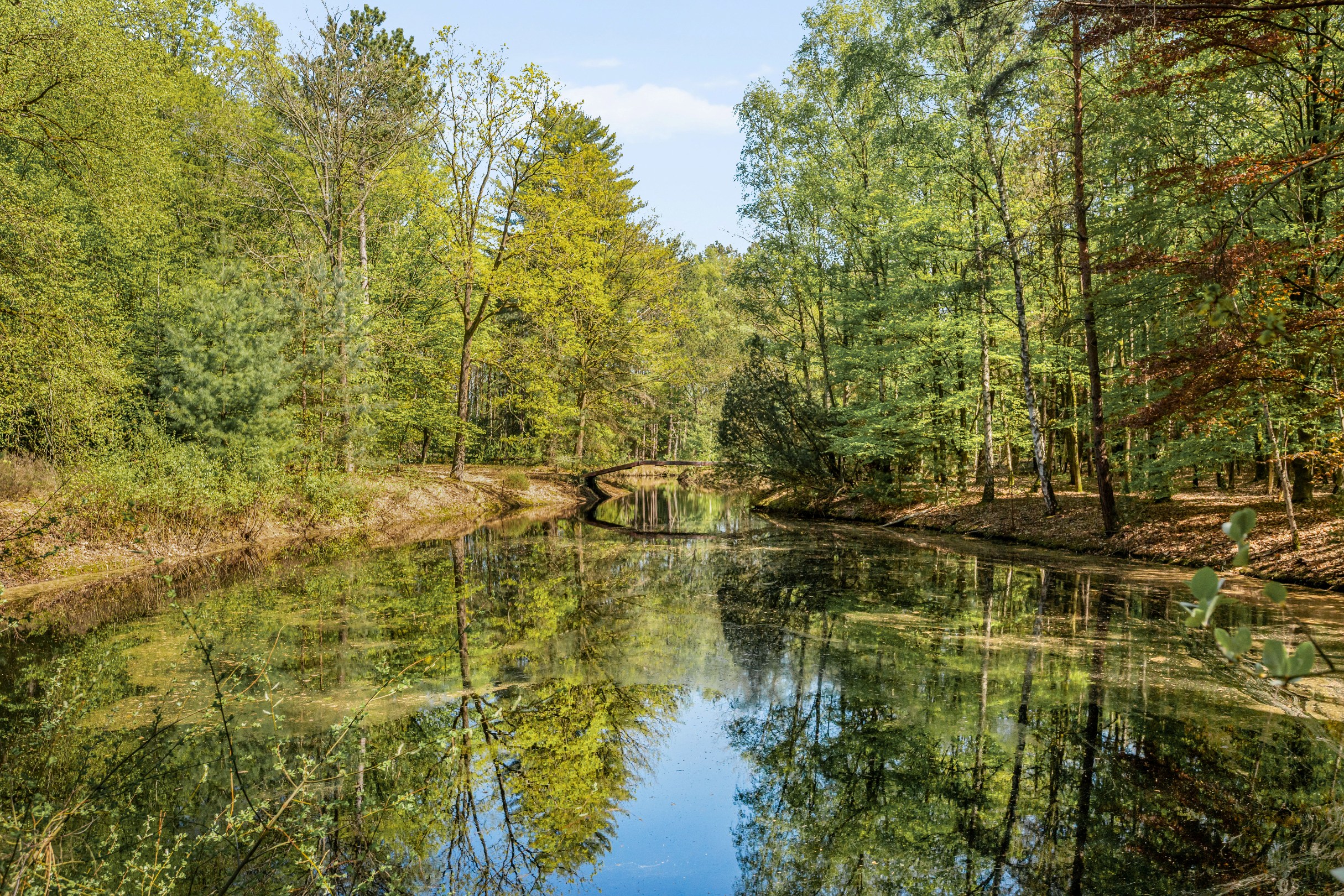 Domain (12 ha) in Geel: tranquility and opportunities - photo 4