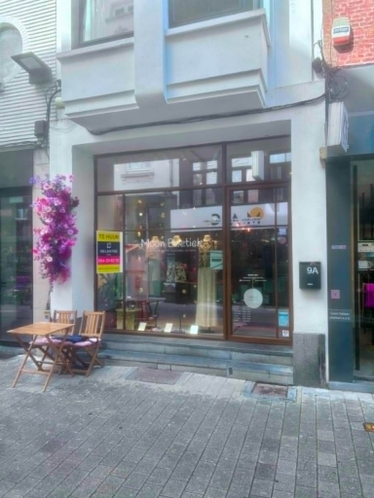 GERENOVEERD HANDELSPAND GEITESTRAAT MECHELEN - foto 5