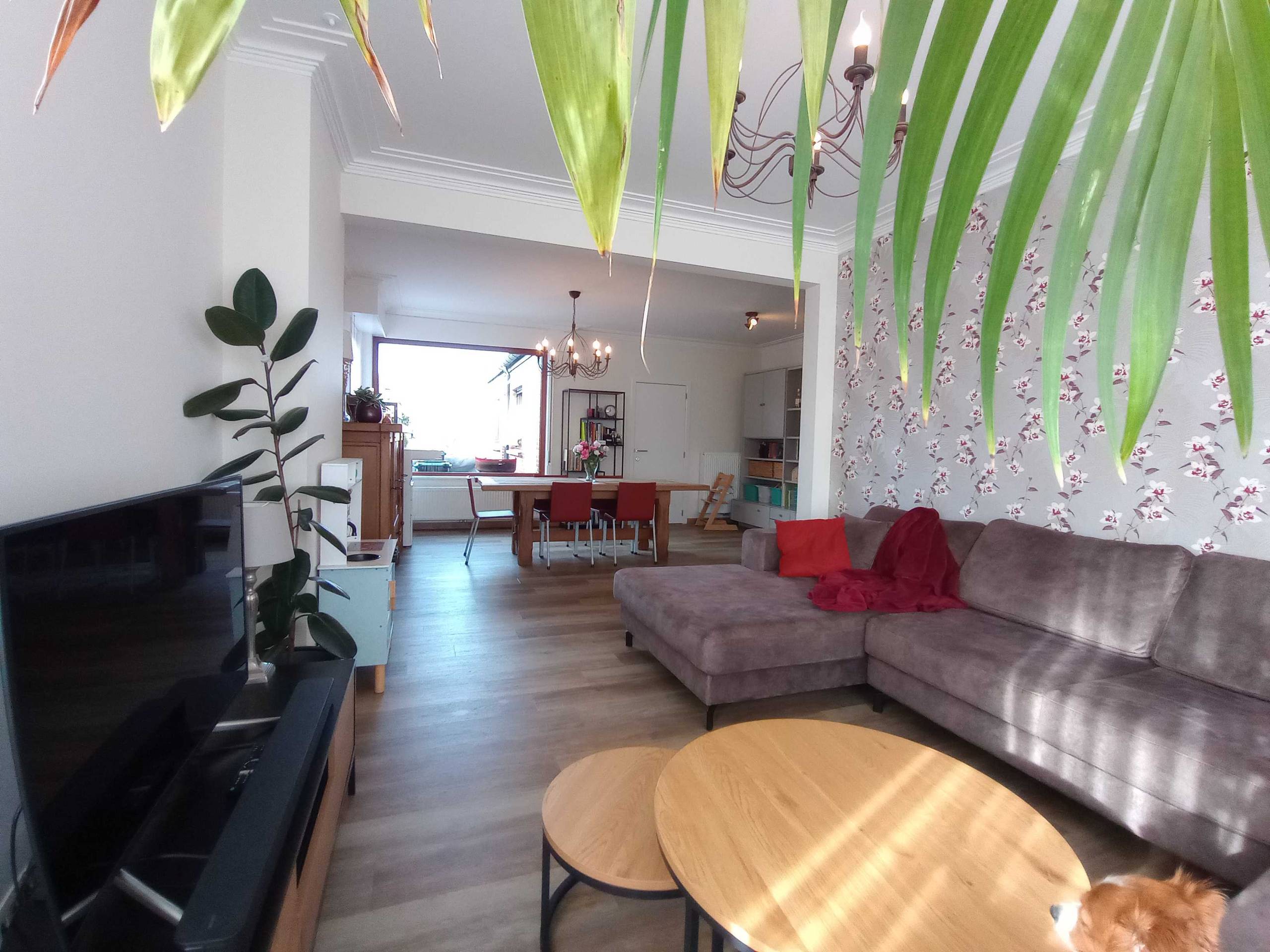 Huis te koop in Bazel met 3 slaapkamers - foto 1