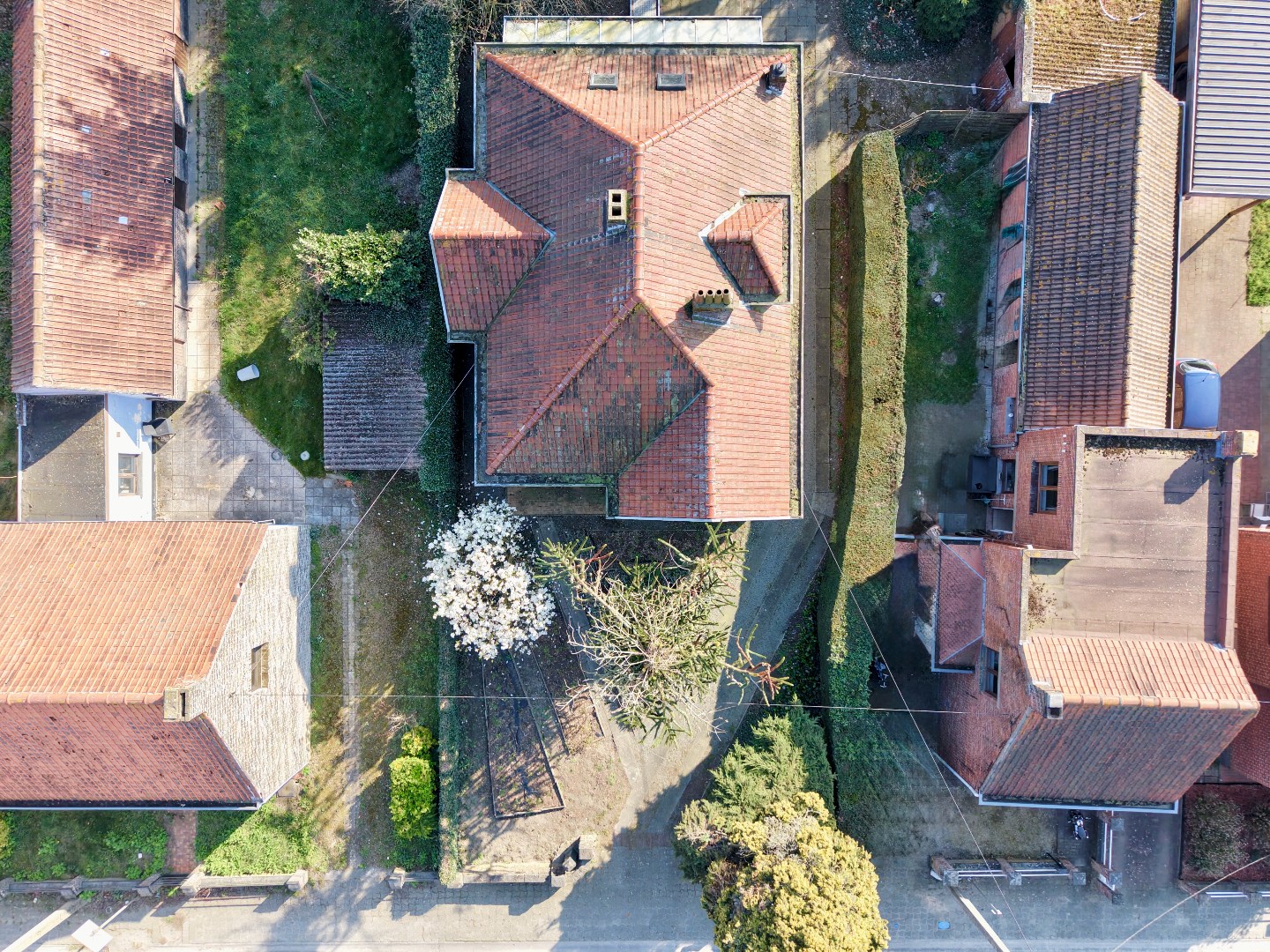 House for sale in Ertvelde with 4 bedrooms - photo 4