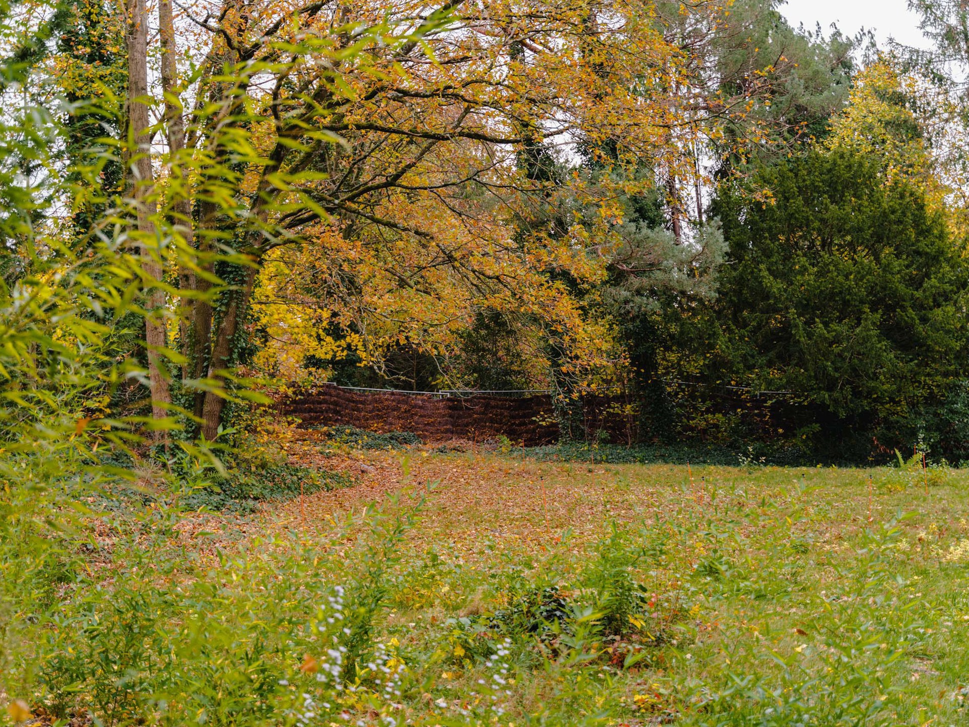 Terrain à vendre à Uccle - photo 3