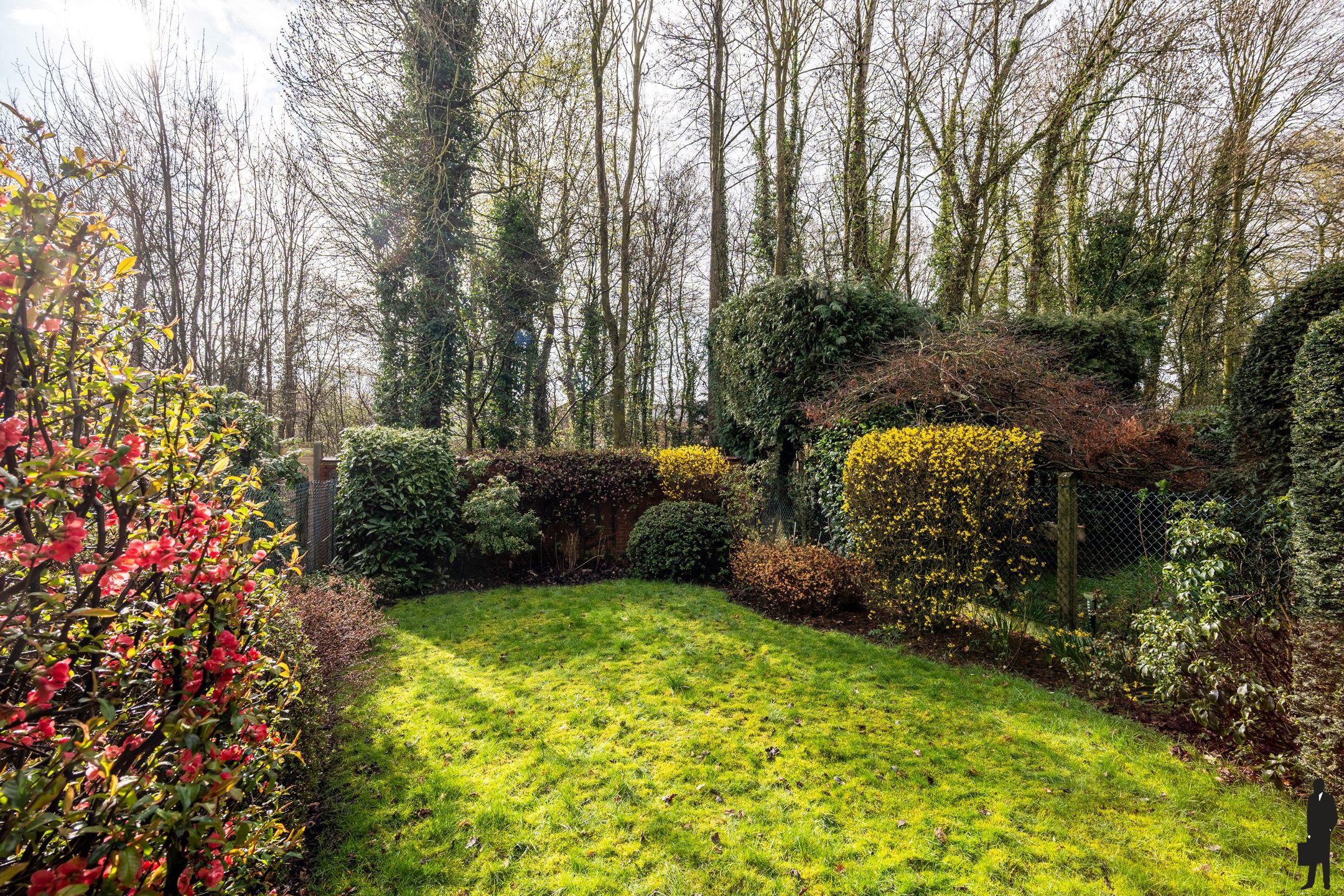 Charmante woning met 2 slpk en prachtig groen zicht - foto 2