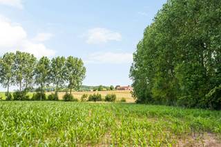 <p>Aangename gerenoveerde halfopen woning, gelegen in een rustige woonomgeving in het hart van het Pays des Collines, en toch dicht bij alle voorzieningen zoals autosnelweg, scholen, winkels, enz.<br /><br />Een ideale woning voor wie zich onmiddellijk wil vestigen zonder werken te moeten voorzien!<br /><br />De woning is als volgt ingedeeld:<br /><br />Gelijkvloers: inkomhal, woonkamer, eetkamer en uitgeruste open keuken, evenals een badkamer met inloopdouche, toilet en een praktische wasruimte.<br /><br />Verdieping: twee mooie slaapkamers en een klein bureau.<br /><br />Zolder: mogelijkheid om een extra grote slaapkamer in te richten.<br /><br />Kelder: praktische kelder.<br /><br />Buiten geniet u van een perceel van meer dan 5 are, met zijdelingse toegang, een mooi terras, een atelier en twee parkeerplaatsen vooraan.<br /><br />Technisch: PVC-ramen met dubbele beglazing, pelletkachel, moderne elektrische verwarming, conforme elektriciteit, elektrische boiler en nieuw dak, nog te isoleren.<br /><br />Een aangename, functionele en prachtig gelegen woning waar u onmiddellijk kunt intrekken!<br /><br />Contacteer ons snel voor een bezoek via: aurelie@immobeguin.be</p>